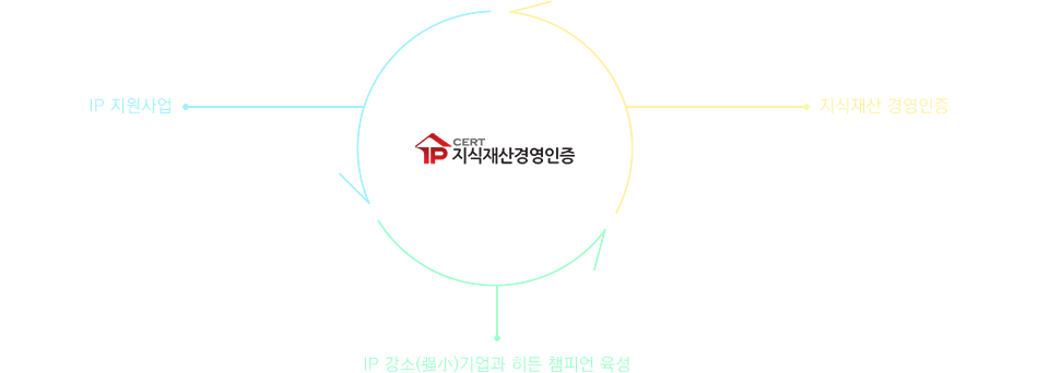 IP지원사업: 글로벌IP스타기업, 중소기업IP바로지원서비스, IP나래프로그램, IP역량별 단계별 기원사업/ IP 강소기업과 히든 챔피언 육성/ 지식재산 경영인증